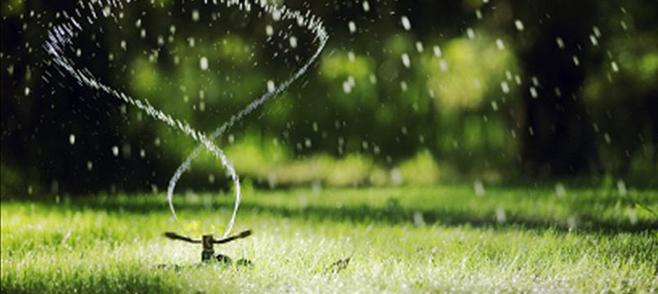 Call the lawn care professionals at Turf Solutions 12024 S Easley Rd Lees Summit MO 64086 to advise you about how to save your grass during a drought.